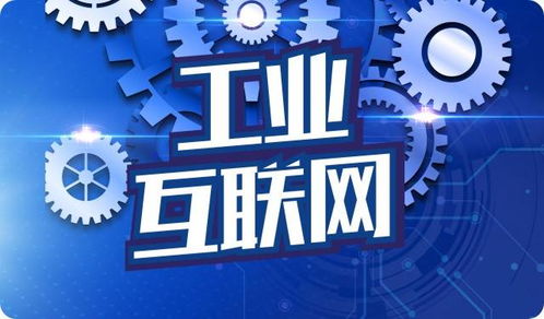 厦门管道业的数字化转型 互联网与管道行业的深度融合